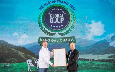Việt Nam sở hữu hệ thống trang trại bò sữa chuẩn Global G.A.P lớn nhất châu Á
