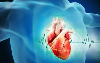 Chuyên gia chia sẻ 5 lý do khó ngờ gây đau tim ngay cả khi sống lành mạnh