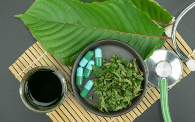 Cảnh báo những rủi ro khi dùng kratom