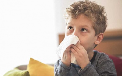 Trẻ hay viêm phế quản tái phát nên áp dụng ngay cách này