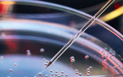 Tế bào gốc là gì? Nó được sử dụng để làm gì?