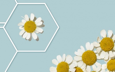 Giảm đau nửa đầu bằng 'aspirin thời Trung Cổ'