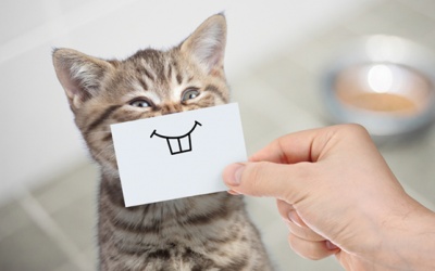 Tử vi thứ Bảy (4/5/2019): Nhân Mã nên suy nghĩ tích cực hơn