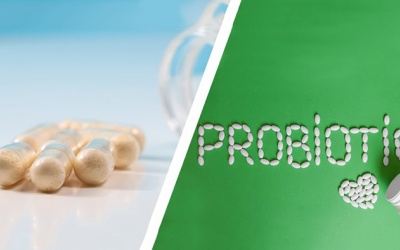 Bí quyết chọn mua sản phẩm bổ sung probiotic chất lượng