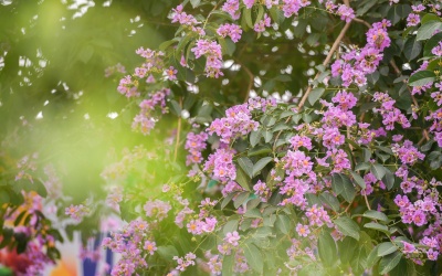 Bắc Bộ mát mẻ, Nam Bộ mưa dông