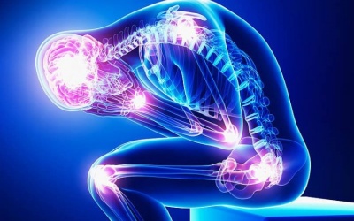 Hướng dẫn 10 cách thay đổi lối sống giúp giảm đau mạn tính