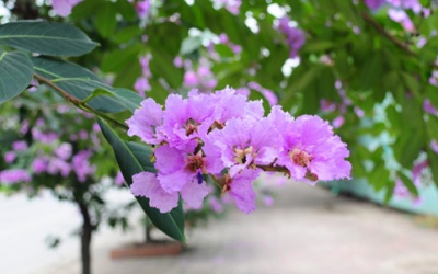 Bắc Bộ tương đối mát mẻ trong những ngày cuối tháng 5