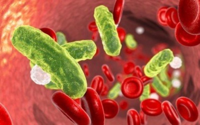 10 dấu hiệu cảnh báo bệnh nhiễm trùng huyết