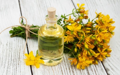 Bạn đã biết 7 lợi ích đã được chứng minh của cây ban Âu?