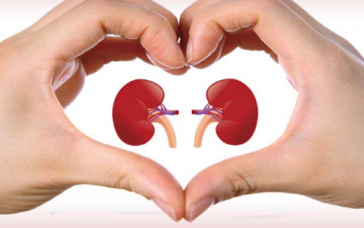 10 cách giúp bảo vệ và tăng cường chức năng thận