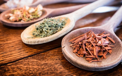 Giảm đau khớp, viêm nhiễm bằng 6 loại thảo dược tự nhiên 