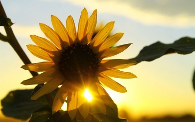 Đợt nắng nóng ở Bắc Bộ và Trung Bộ bao giờ kết thúc?