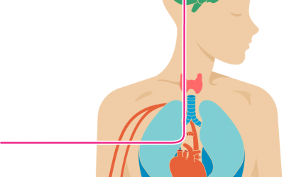 Bệnh nhân đái tháo đường cũng bị hạ đường huyết, đừng coi thường!