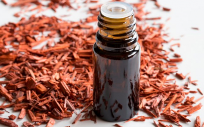 10 lợi ích quý như vàng của tinh dầu gỗ đàn hương