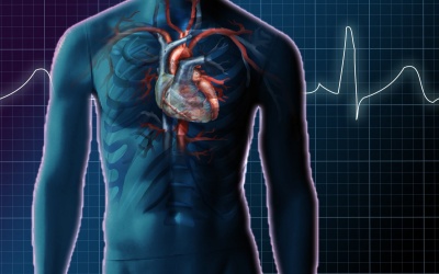 Tăng áp động mạch phổi là bệnh gì?