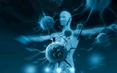 Hệ miễn dịch tốt có giúp phòng ngừa cảm lạnh và cảm cúm?