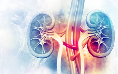 9 cách phòng ngừa biến chứng thận khi bị đái tháo đường