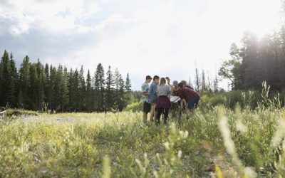 Mùa Hè, cần cẩn thận với 4 loài côn trùng có thể gây bệnh!