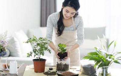 Với tình yêu cây cỏ, thế hệ trẻ sẽ ngày càng sống khỏe hơn