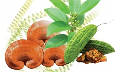 Thuốc cho người bệnh đái tháo đường giúp ổn định đường huyết