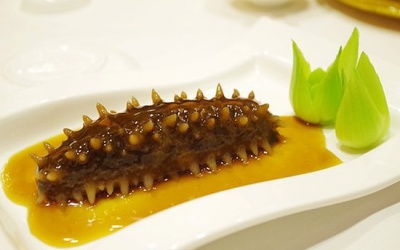 Hải sâm: Phòng ngừa ung thư, ngăn chặn xơ vữa động mạch