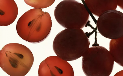 Chiết xuất hạt nho có thể đẩy lùi ung thư và phòng ngừa nhiều bệnh