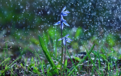 Thời tiết Bắc Bộ những ngày cuối tháng 7 và đầu tháng 8 như thế nào? 