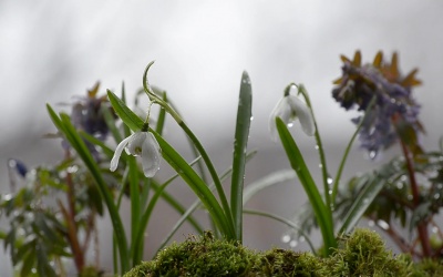 Bắc Bộ mưa dông, Trung Bộ nắng nóng dịu dần