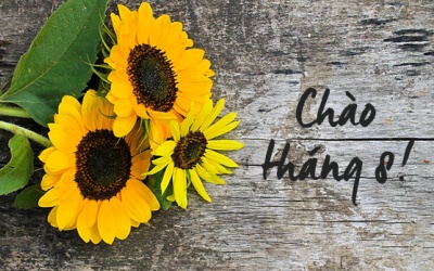 Tử vi tháng 8/2019: Kim Ngưu sẽ có cơ hội để phát triển sự nghiệp 