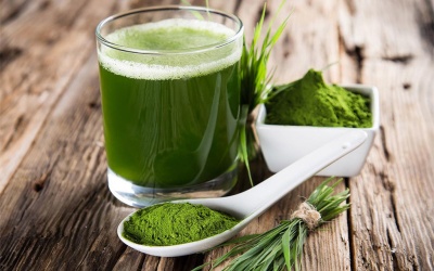 Tảo spirulina tốt cho bệnh nhân đái tháo đường như thế nào?