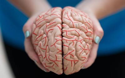 Xét nghiệm máu giúp phát hiện bệnh Alzheimer trước 20 năm