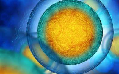 Những điều mọi phụ nữ cần biết về khả năng sinh sản