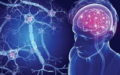 Bệnh đa xơ cứng ảnh hưởng đến cơ thể như thế nào? 