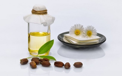 Dầu jojoba - bí quyết chăm sóc da dịu dàng mà mọi cô gái cần phải biết