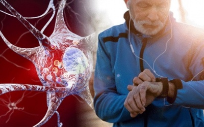 Tập thể dục như thế nào để ngăn bệnh Parkinson tiến triển?