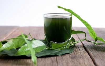 Nước diệp lục là gì mà khiến dân tình xôn xao?