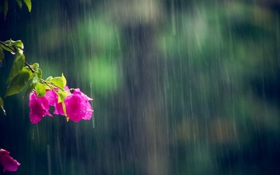 Bắc Bộ và Bắc Trung Bộ giảm nhiệt do có mưa dông