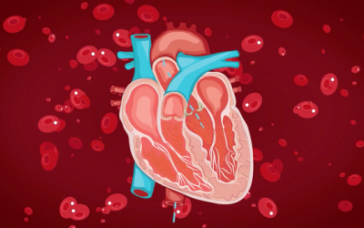 Hẹp van động mạch chủ có nguy hiểm không, có triệu chứng gì nhận biết?