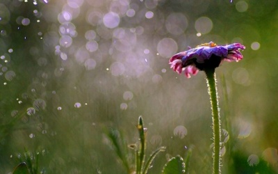 Trung Bộ và Tây Nguyên có mưa to đến rất to