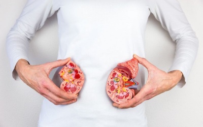 Những biện pháp đơn giản giúp giảm nguy cơ mắc bệnh thận