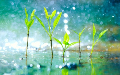 Mưa dông vẫn tiếp diễn ở khu vực phía Nam