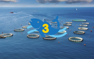 Biến đổi khí hậu ảnh hưởng tới nguồn cung omega-3 toàn cầu