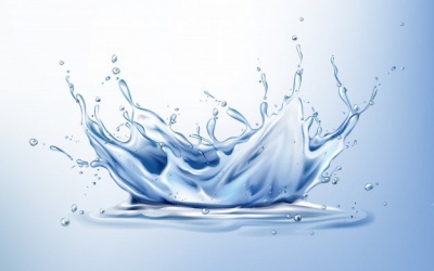 Vòng đời của nước, vòng đời của người?