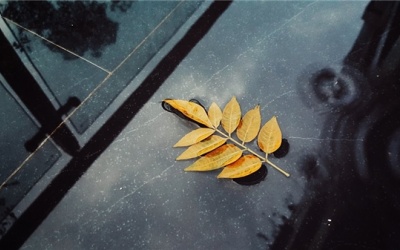 Bắc Bộ và Trung Bộ bớt hanh khô do có mưa dông