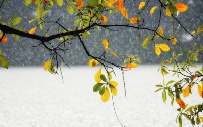 Thời tiết ngày 5/10: Bắc Bộ mưa dông đến hết ngày mai