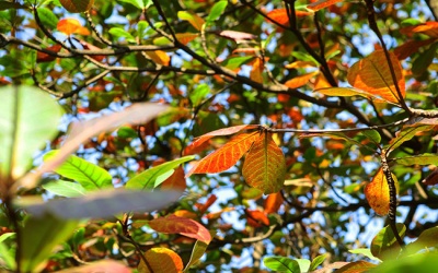 Dự báo thời tiết cả nước từ ngày 5/10 đến ngày 14/10