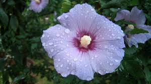 Thời tiết 18/10: Mưa dông vẫn tiếp diễn ở Trung Bộ