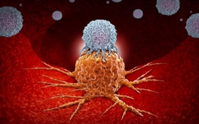 Liệu pháp miễn dịch mới giúp 'săn lùng' các tế bào ung thư 'ẩn mình'