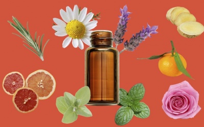 Thị trường dầu nền toàn cầu tăng trưởng 10% trong giai đoạn 2019 - 2026