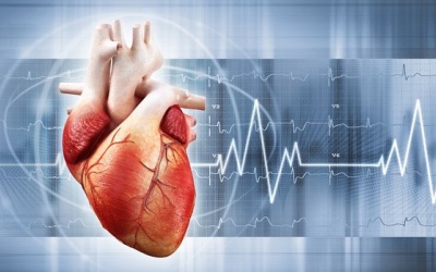 Nhịp nhanh kịch phát trên thất là gì, có triệu chứng cảnh báo thế nào?